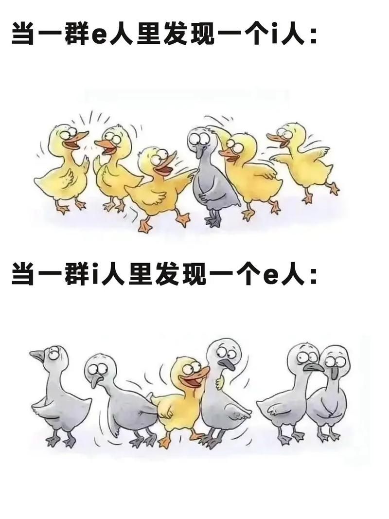 i人是社牛还是e人是社牛(e人是外向还是内敛)